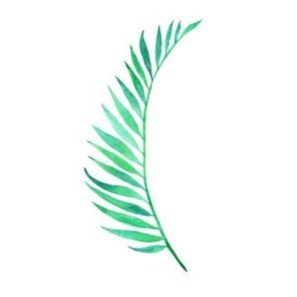 Single branch green leave watercolor art print - Picture 2 of 2